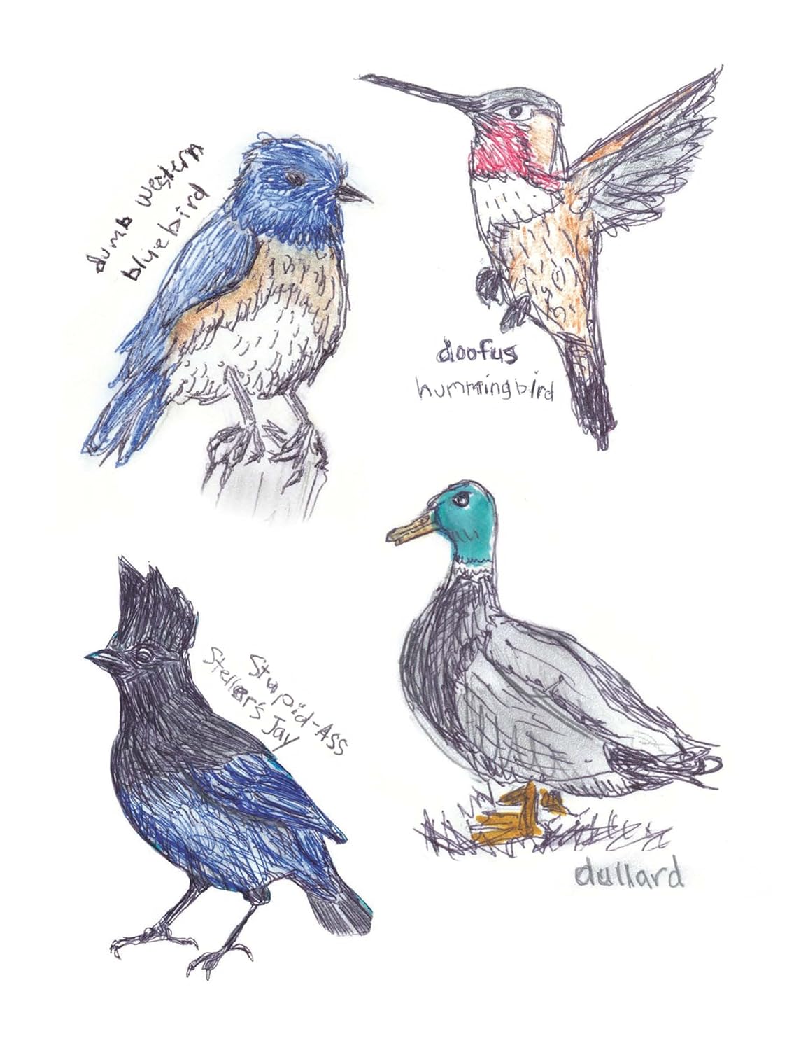 The Field Guide to Dumb Birds Sticker Book