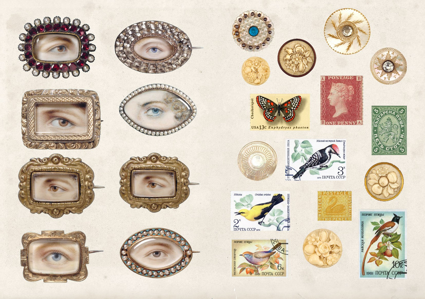 The Curious Collections Sticker Book - Urban Depot Leederville