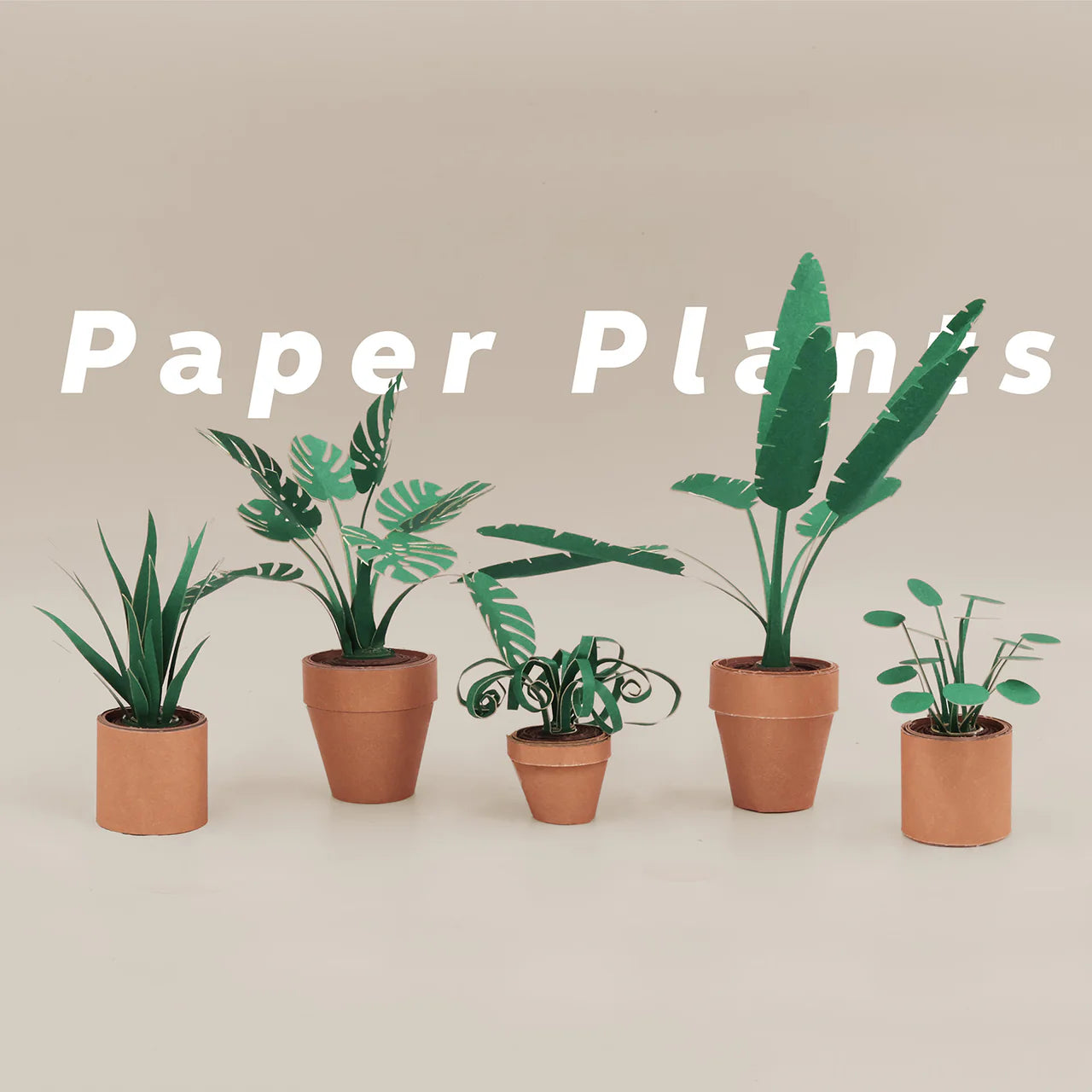 Pikkii Paper Plants Craft Kit