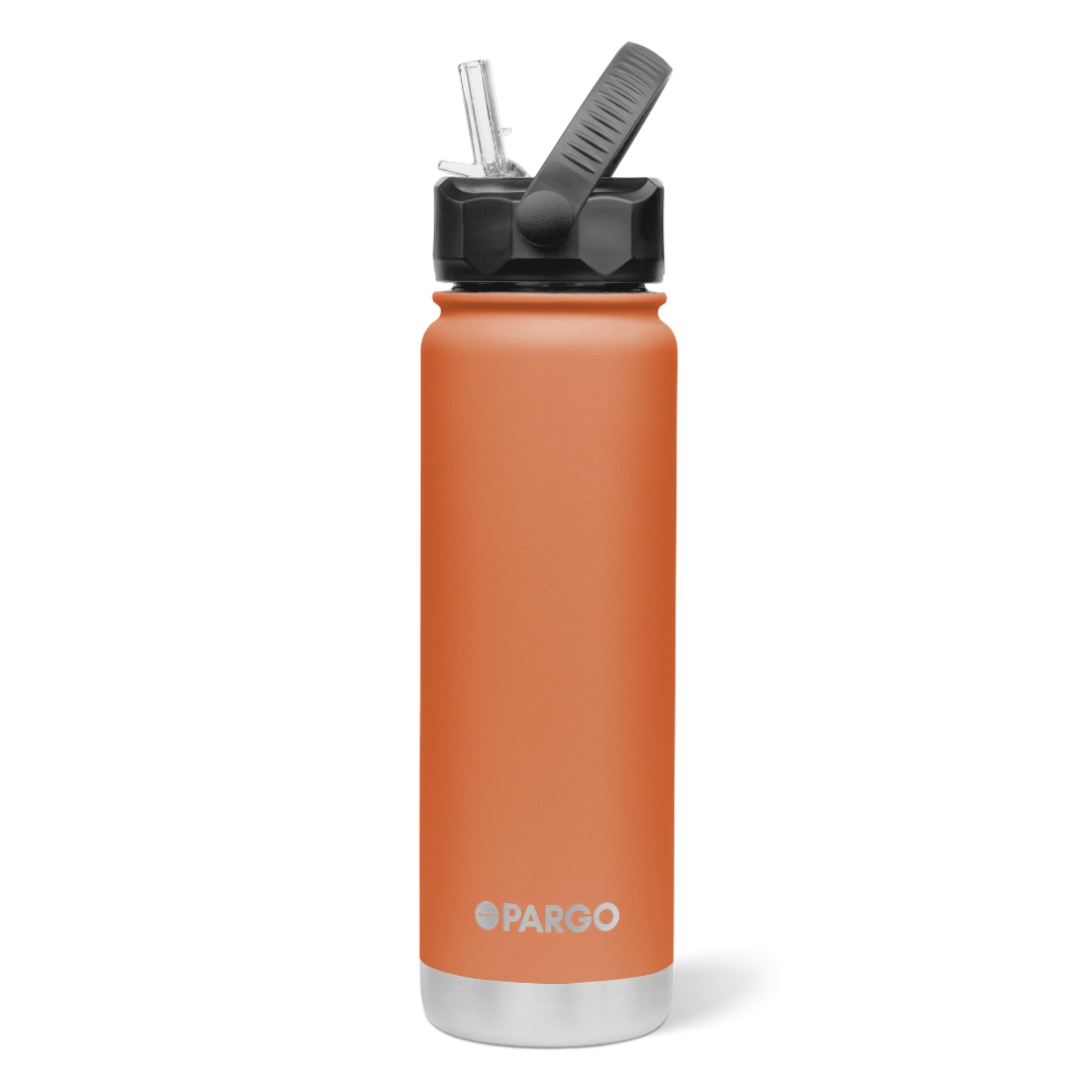 Project PARGO Insulated Water Bottle w/ Straw Lid 750ml