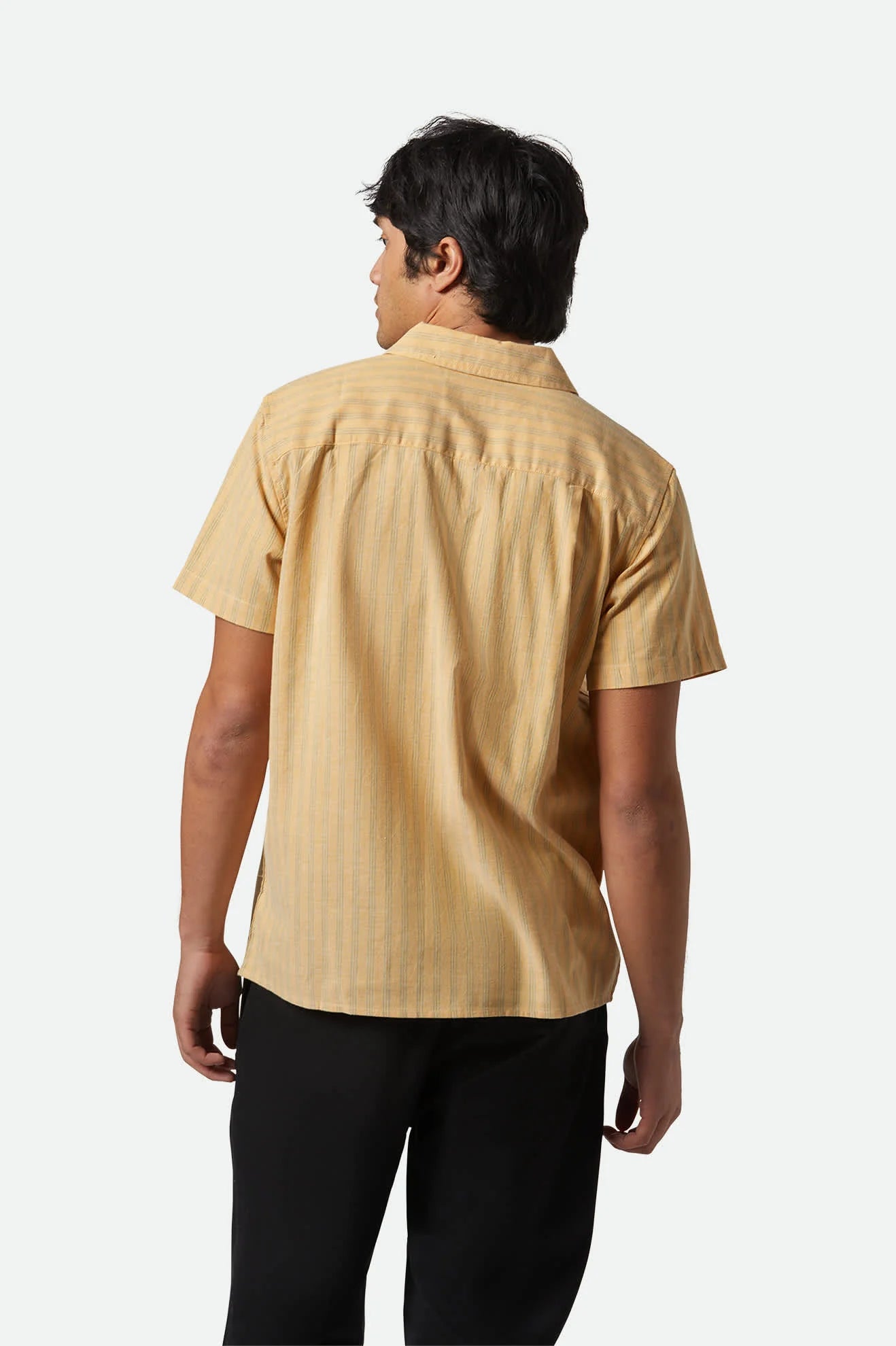 Brixton Cru Oxford Stripe S/S Shirt Curry/Ivy Green Stripe