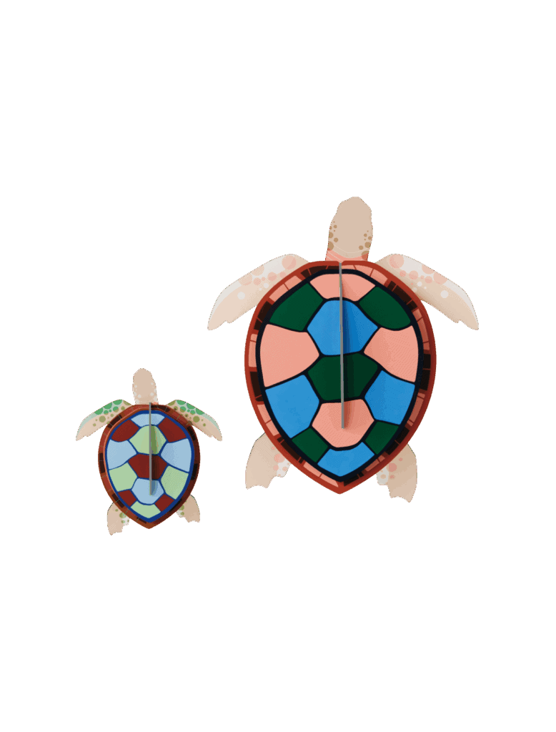 Studio Roof Sea Turtles