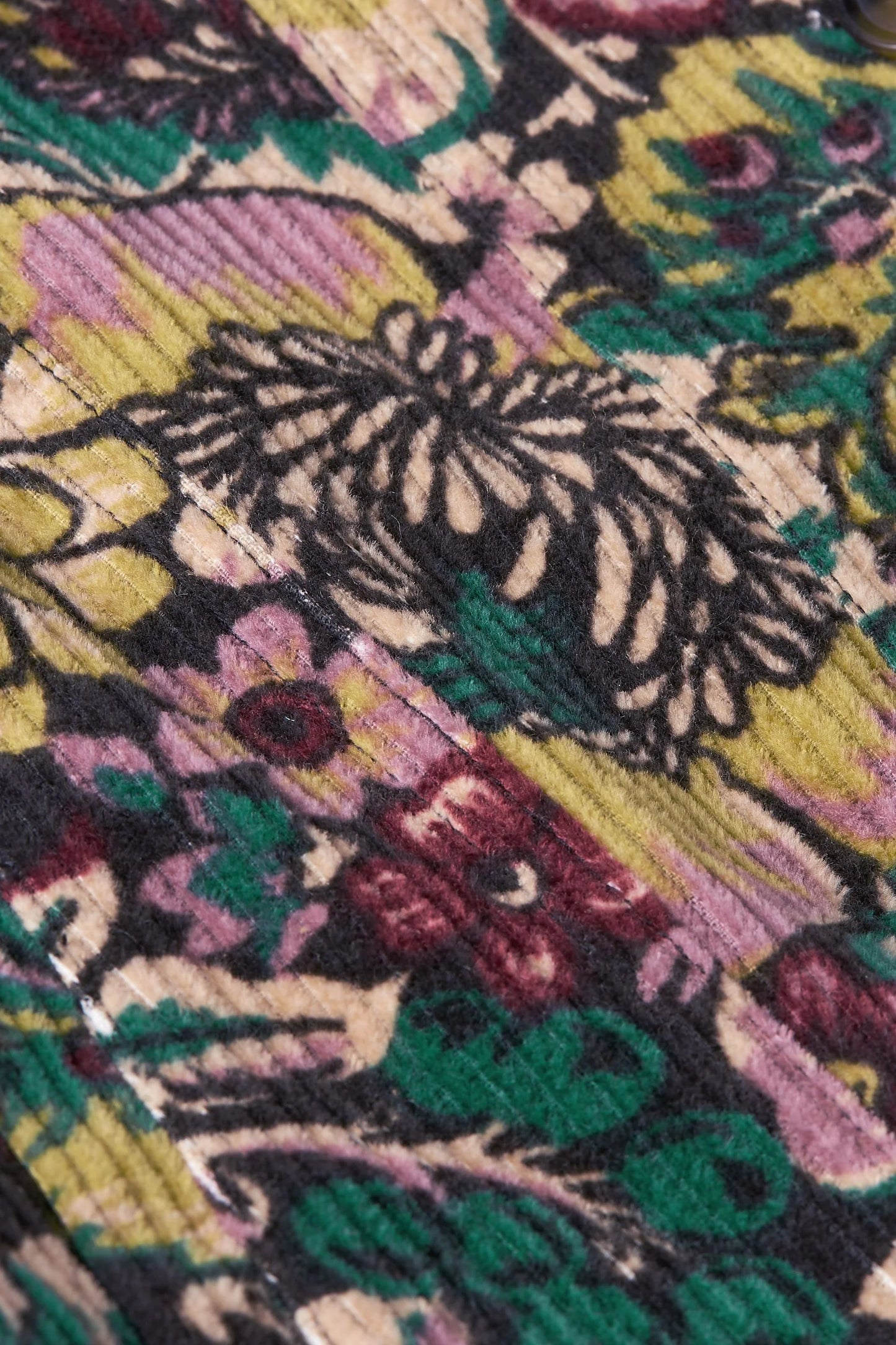 King Louie Paige Flare Pants Tulsa