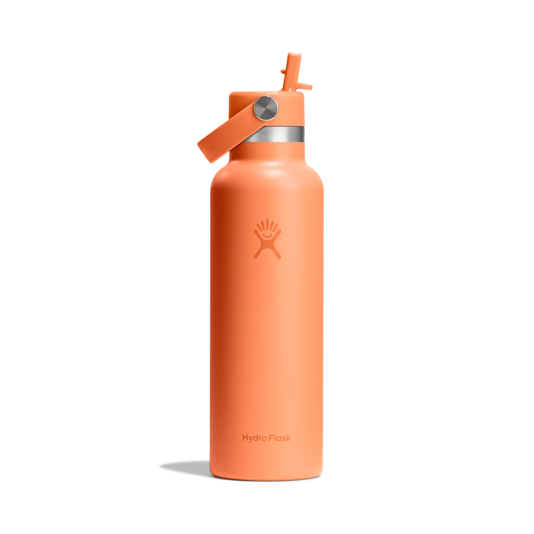 Hydroflask 21oz Standard Flex Straw Cap Water Bottle