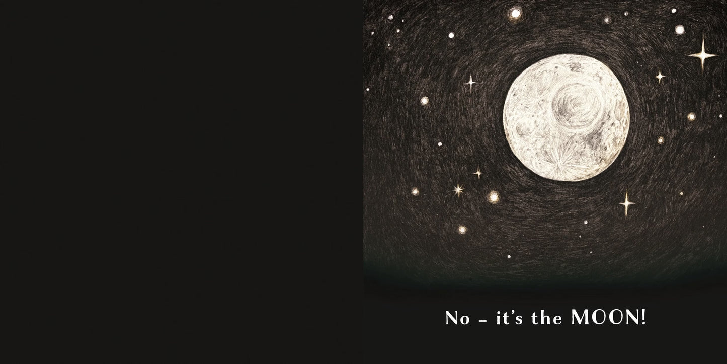 Is This a Plum? by Dan Ojari and Finn Ojari - Book