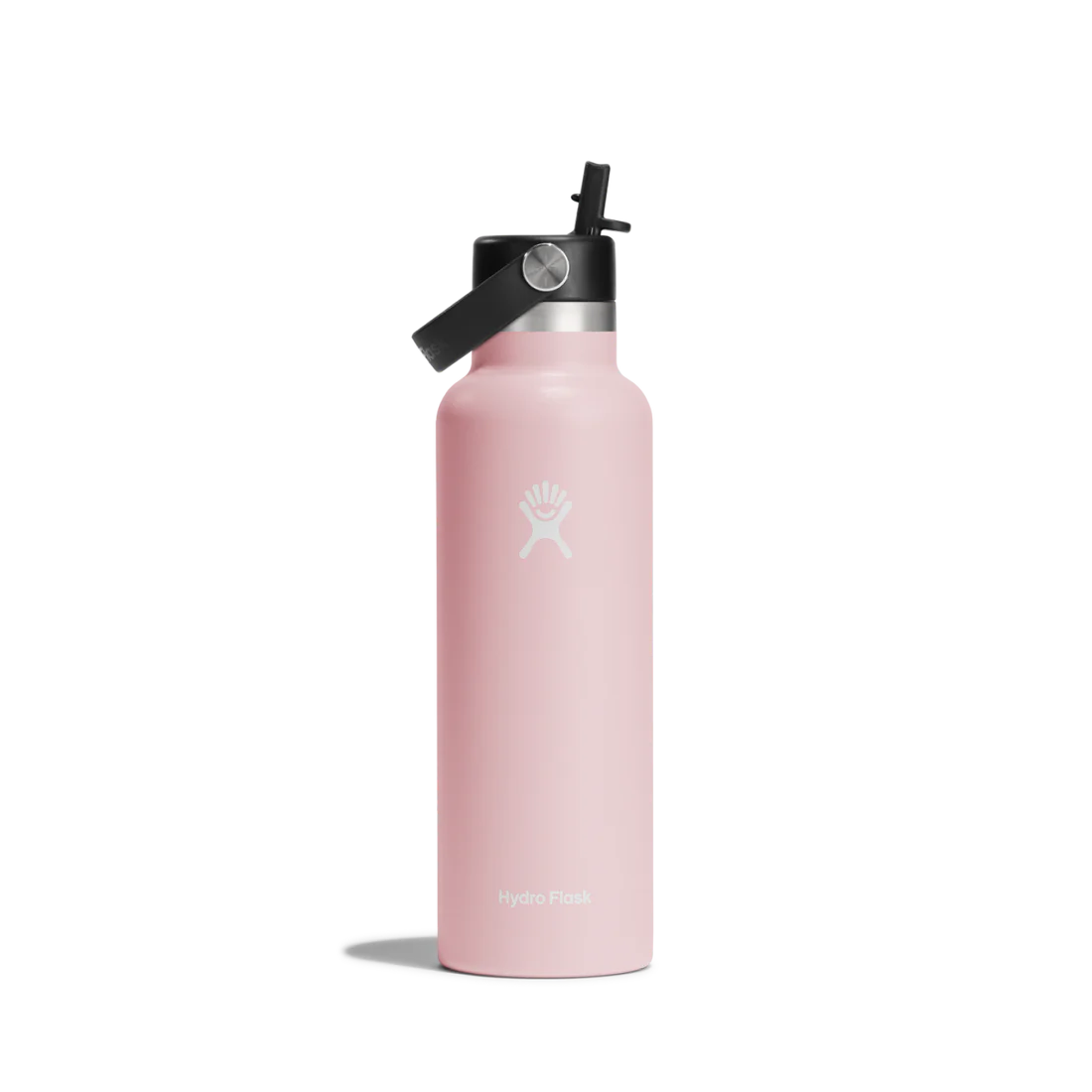Hydroflask 21oz Standard Flex Straw Cap Water Bottle