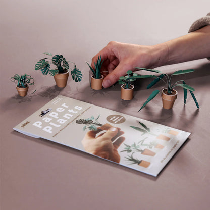 Pikkii Paper Plants Craft Kit