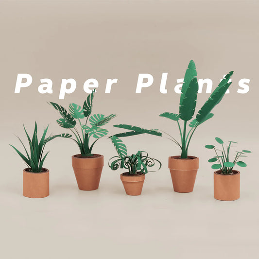 Pikkii Paper Plants Craft Kit