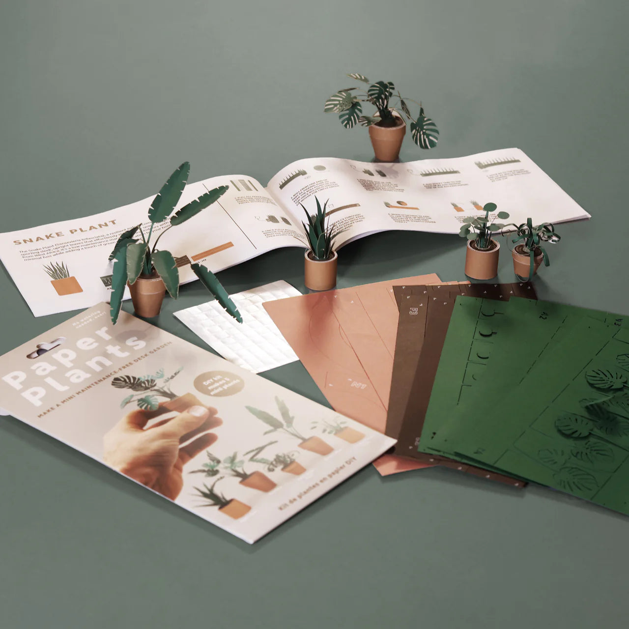 Pikkii Paper Plants Craft Kit