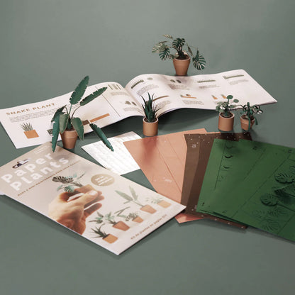 Pikkii Paper Plants Craft Kit