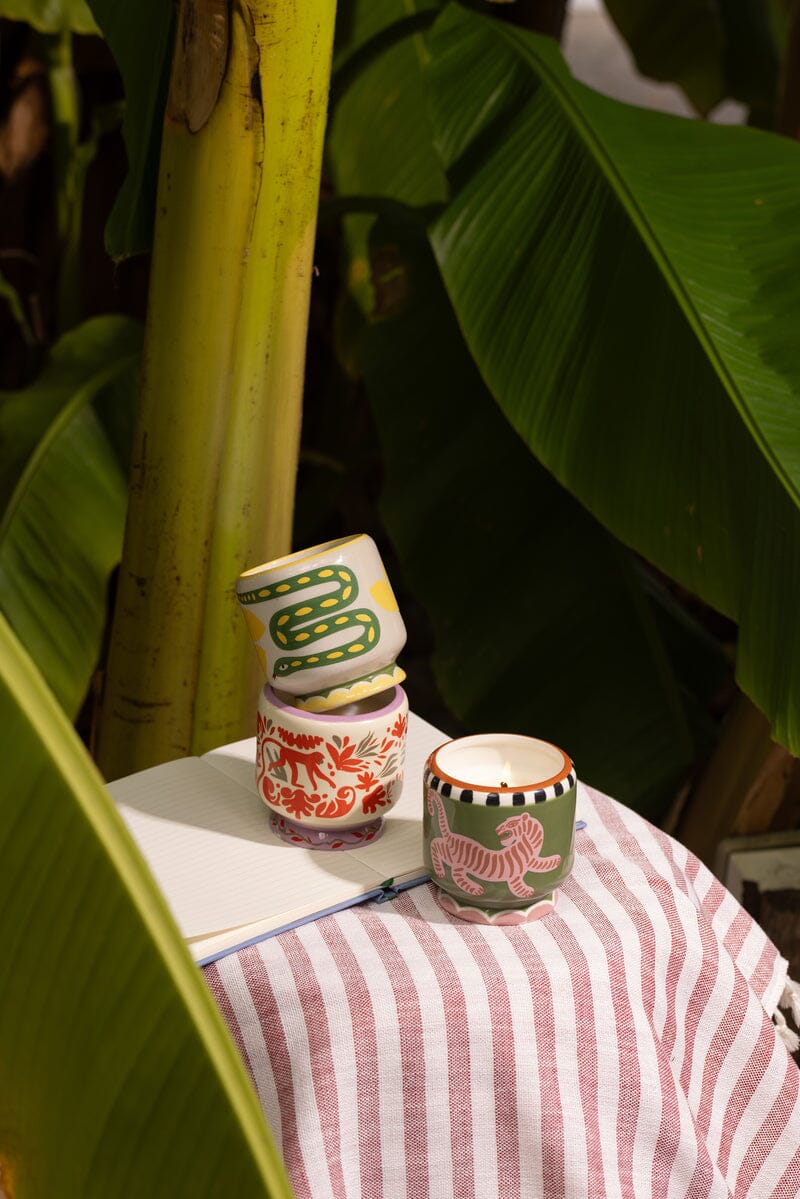 Paddywax Adopo Candle Wild Lemongrass 8oz