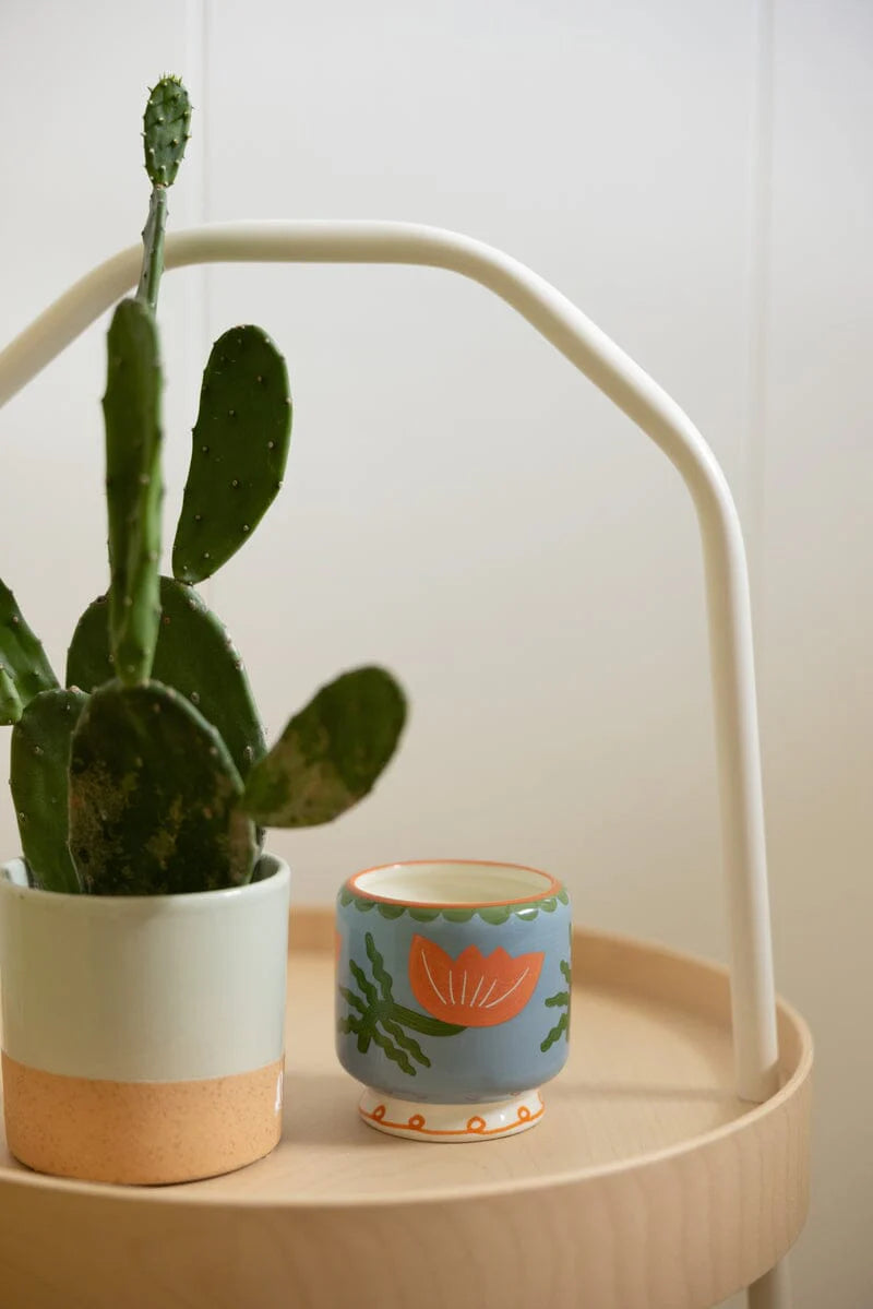Paddywax Adopo Candle Cactus Flower 8oz