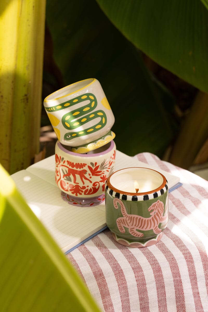 Paddywax Adopo Candle Coconut & Amber 8oz
