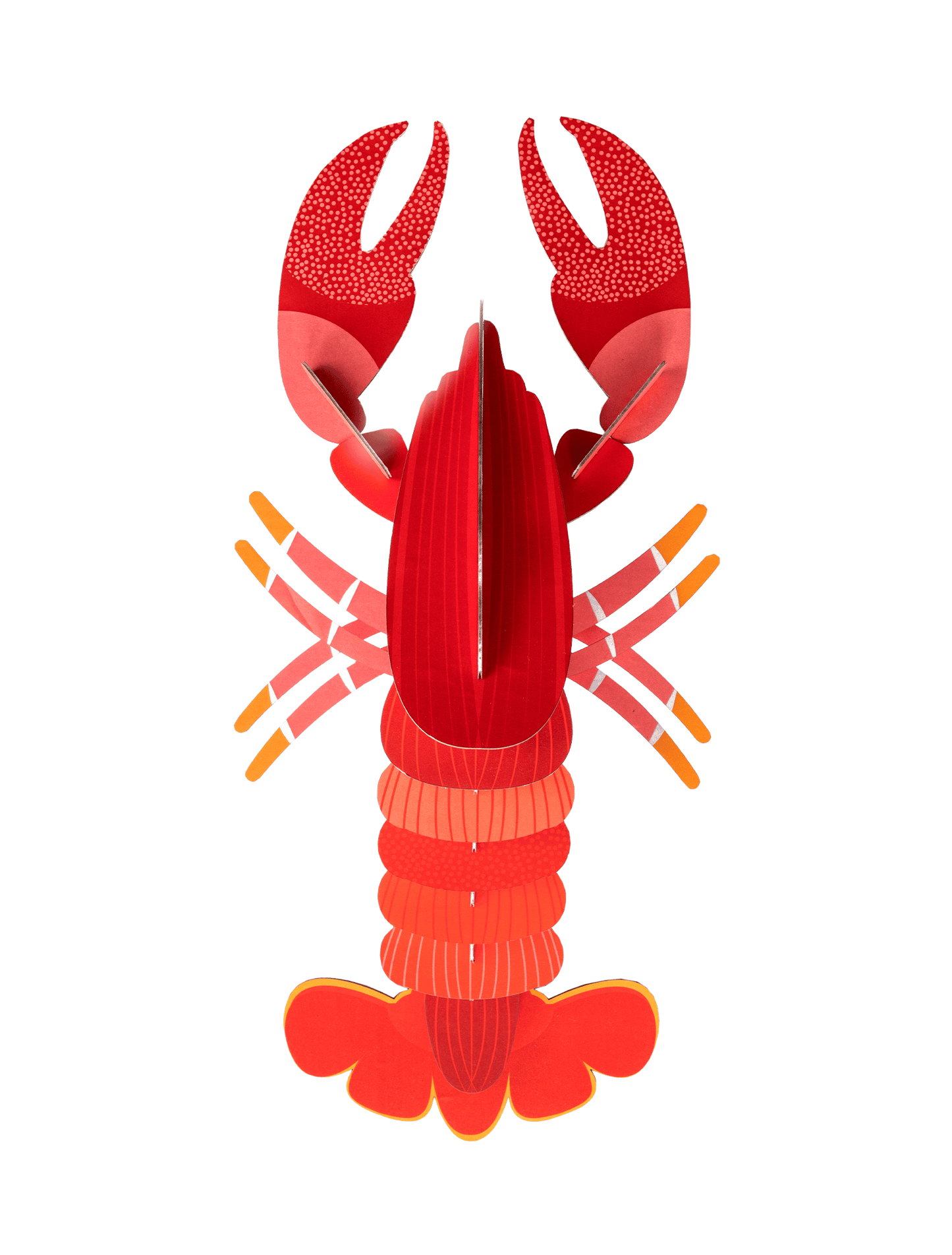 Studio Roof Lobster