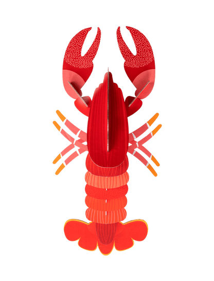 Studio Roof Lobster