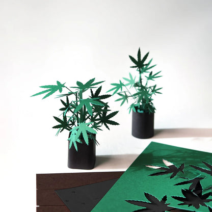 Pikkii Roll Your Own Weed Plants