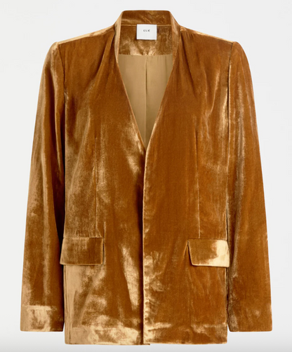 Velvet Soft Blazer Jacket