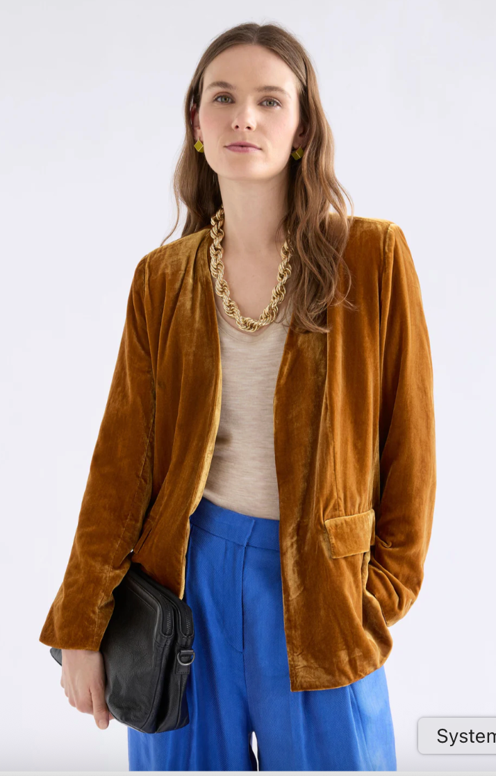 Velvet Soft Blazer Jacket
