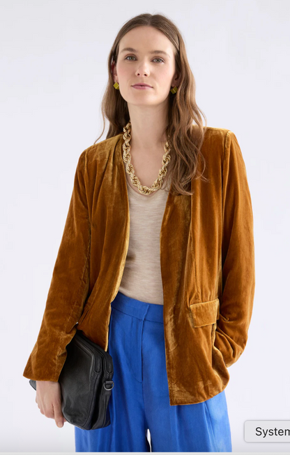Velvet Soft Blazer Jacket