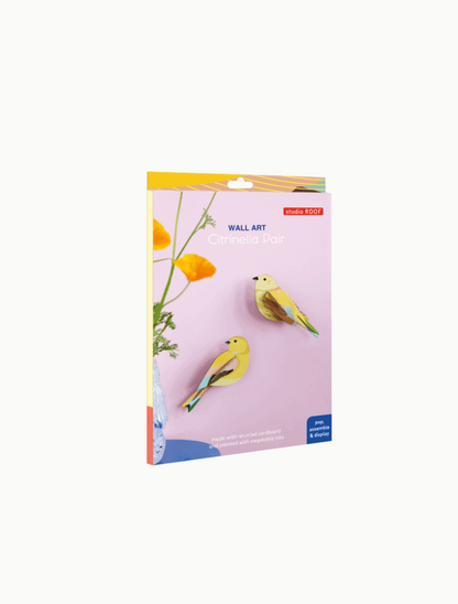 Studio Roof Citrinella Pair