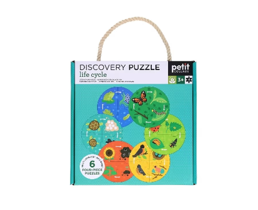 Discover Puzzle Life Cycle