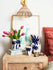 files/image_511509da-fc18-402f-a5da-82feb5b66aee.webp