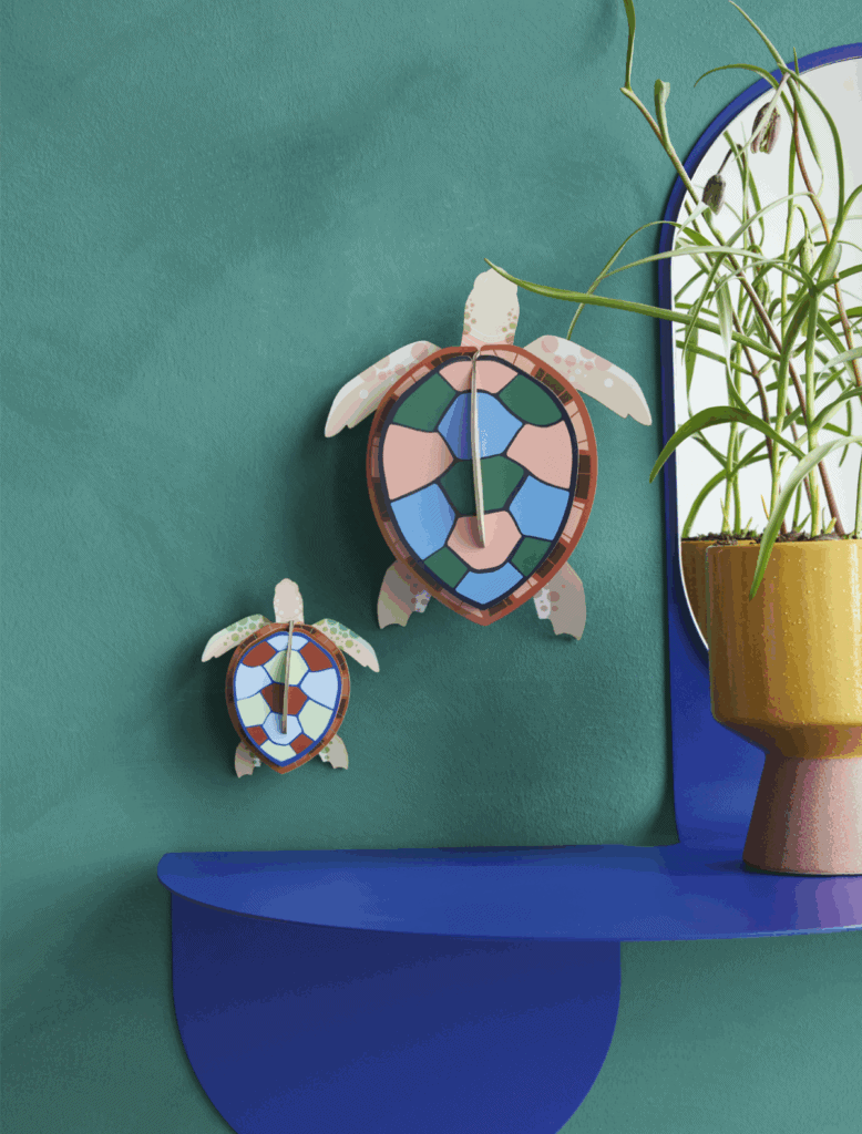 Studio Roof Sea Turtles