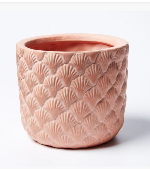 Jones & Co Sea Shell Planter
