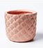 Jones & Co Sea Shell Planter