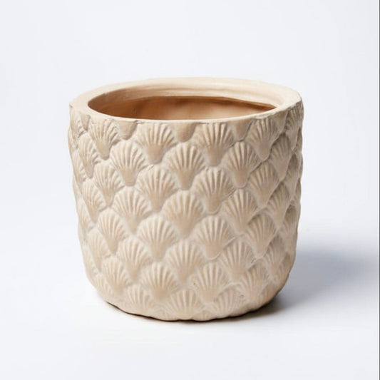 Jones & Co Sea Shell Planter - Urban Depot Leederville
