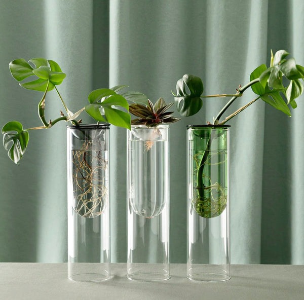 Studio Milligram Organic Interior Propagation Vase